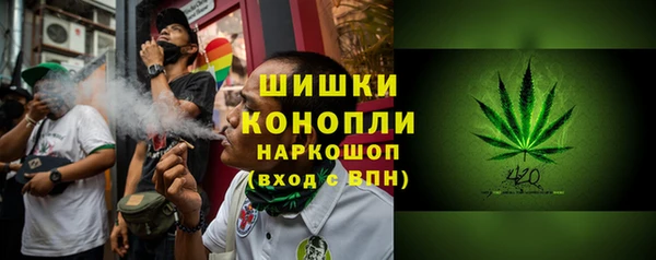 прущие грибы Алексин