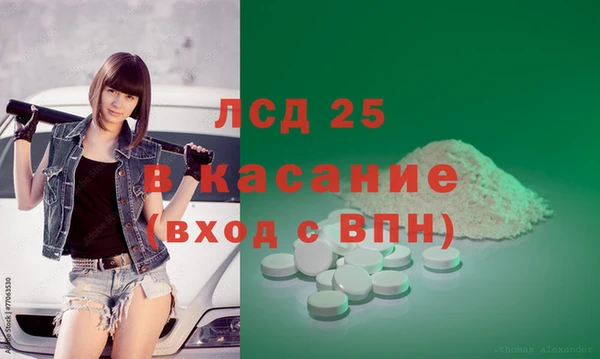прущие грибы Алексин