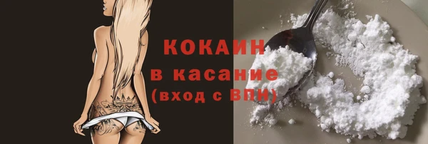 прущие грибы Алексин