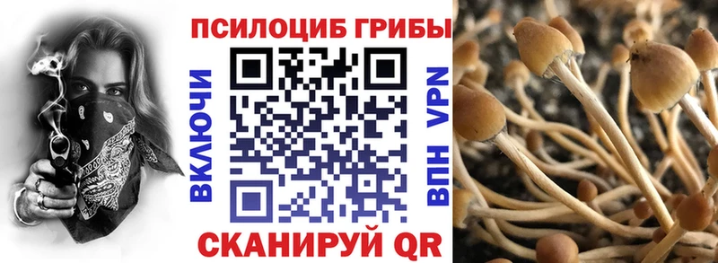 Псилоцибиновые грибы прущие грибы Кувшиново