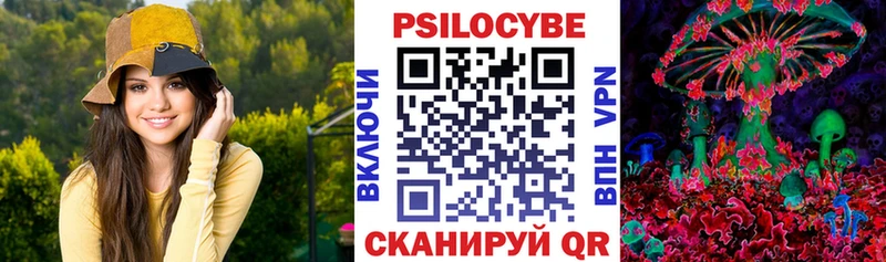 Галлюциногенные грибы Cubensis  Кувшиново 