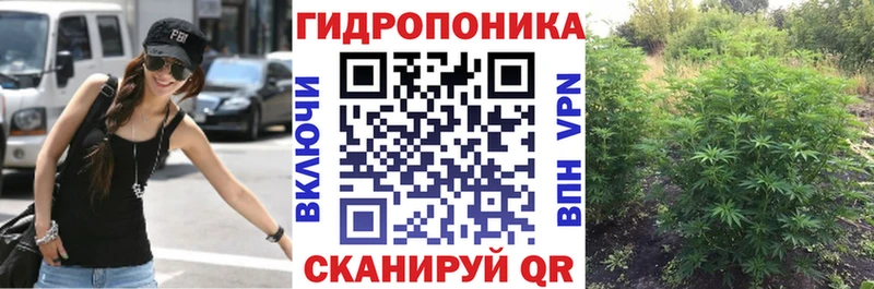 мориарти состав  цены наркотик  Кувшиново  Канабис Ganja 